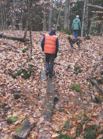 Autumn hike on a Norwich trail.