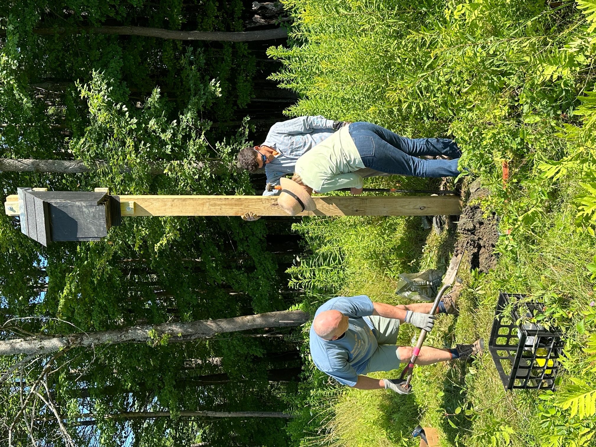 The first bat box mounted at Milt Frye.