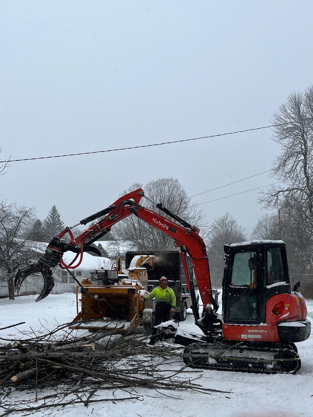 The branches and small trunk sections of the 17 Elm Street EAB-infested ash being fed into a chipper prior to removal off site, 6 February 2025